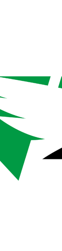 North Dakota Fighting Hawks Football