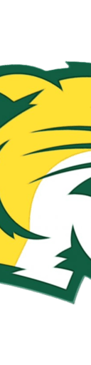 Northern Michigan Wildcats Football