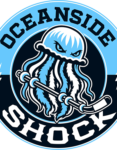 Minnesota Northern Lights at Oceanside Shock