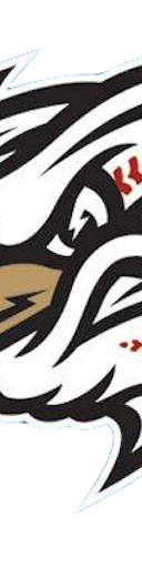 Omaha Storm Chasers