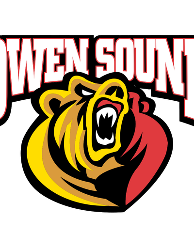 Brantford Bulldogs at Owen Sound Attack