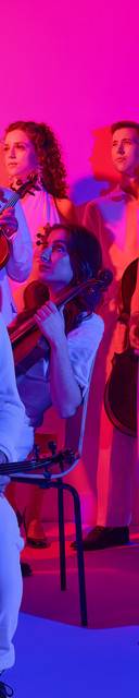Palaver Strings