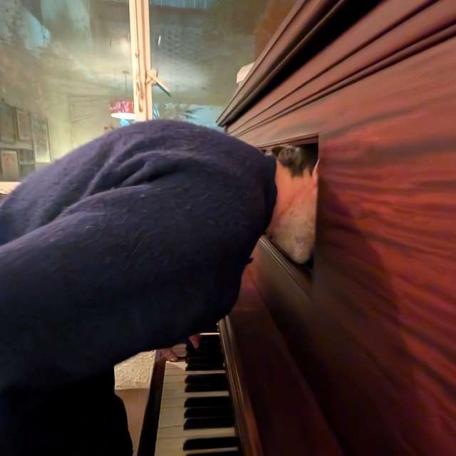Yoann Bourgeois and Patrick Watson at Meridian Hall - Toronto on Feb 4, 2027