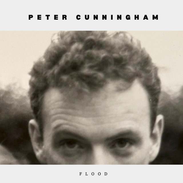 Peter Cunningham: Rock artist