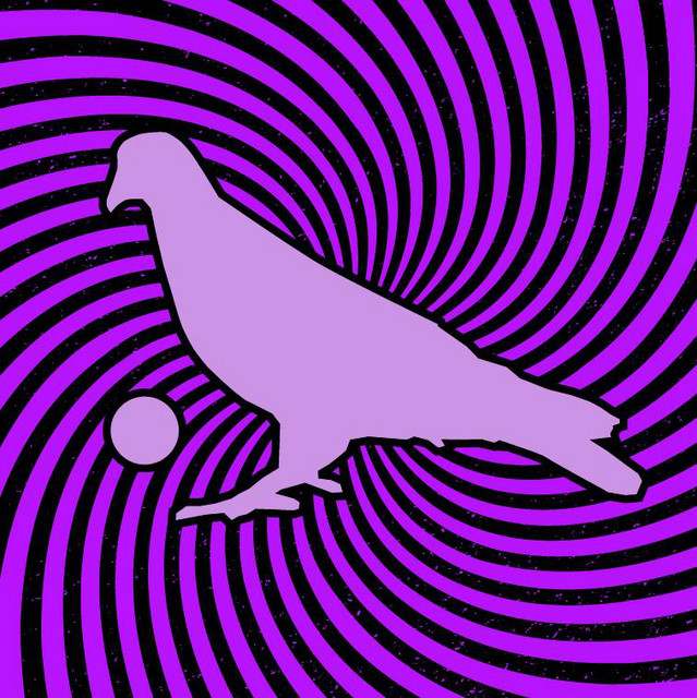 Pigeons Playing Ping Pong: Rock artist