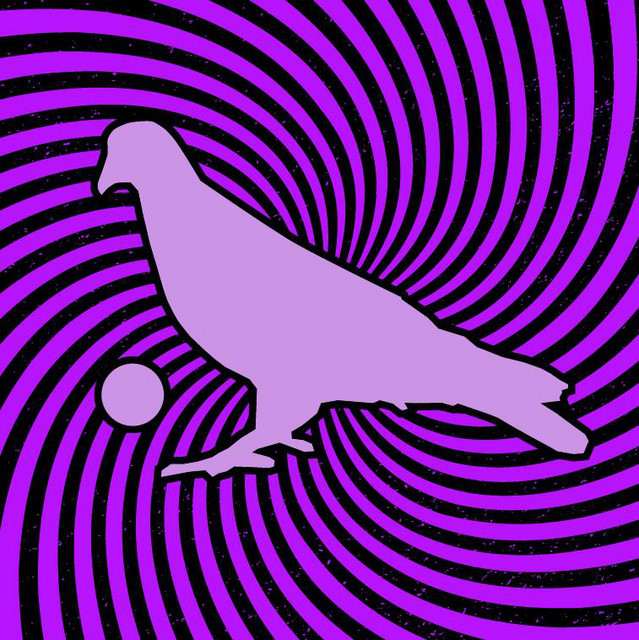 Pigeons Playing Ping Pong at Pisgah Brewing Company on Oct 9, 2026
