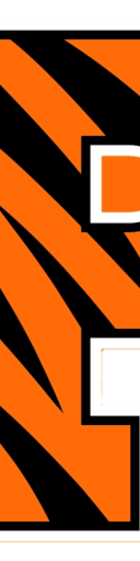 Princeton Tigers Football