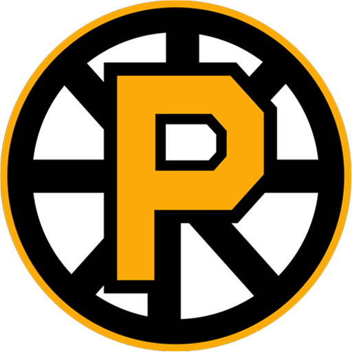 Providence Bruins at Hamilton Hammers at TD Coliseum on Nov 6, 2026