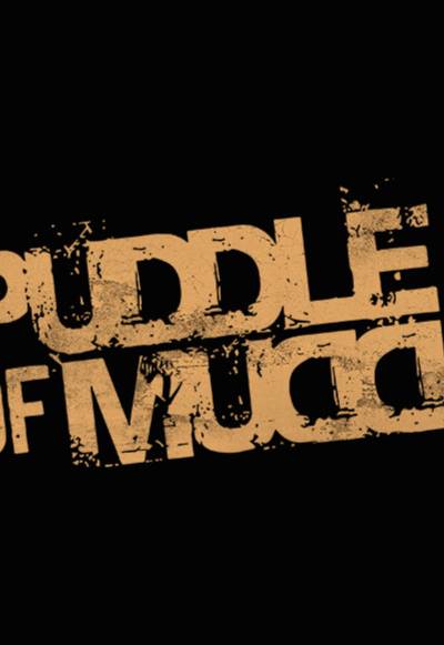Puddle of Mudd
