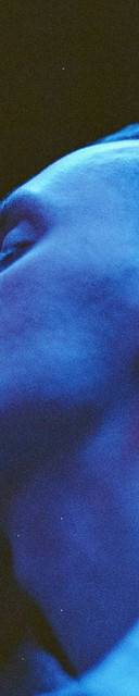 Puma Blue