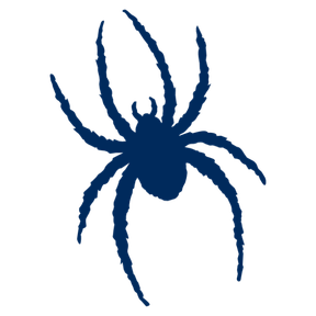 Richmond Spiders Football logo