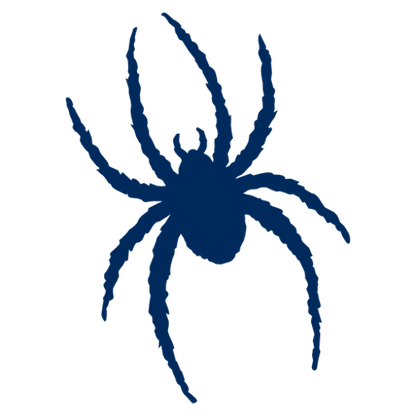 Richmond Spiders Football logo
