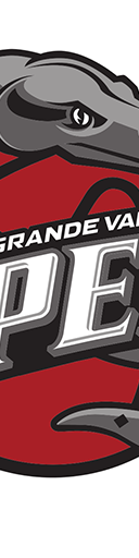 Rio Grande Valley Vipers