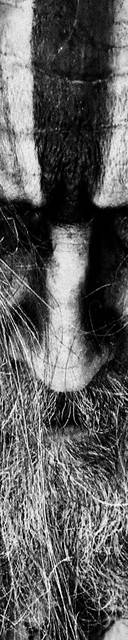 Rob Zombie