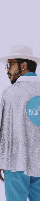 Rock the Park