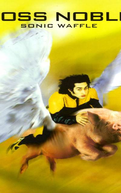 Ross Noble