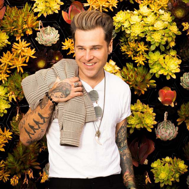 Ryan Cabrera: Pop artist