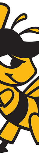 Salt Lake Bees