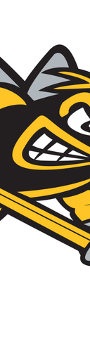 Sarnia Sting