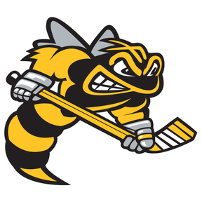 Sarnia Sting logo
