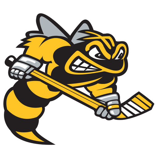Sarnia Sting: Canadian OHL team logo