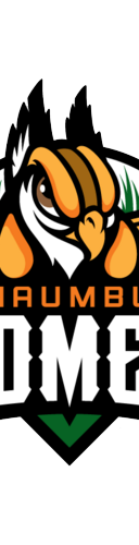Schaumburg Boomers