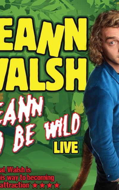 Seann Walsh - This Is Torture