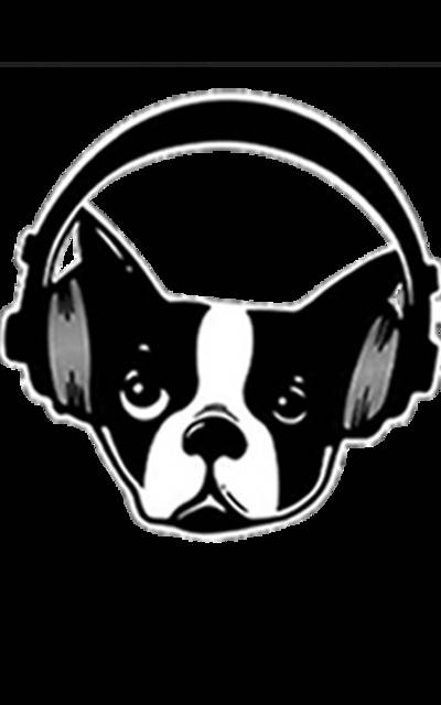 Snarky Puppy
