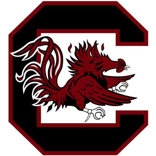 Tennessee Vols at South Carolina Gamecocks Football at Williams-Brice Stadium on Oct 24, 2026