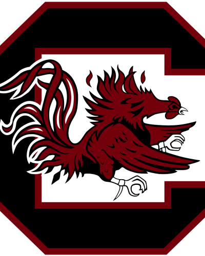 Georgia Bulldogs at South Carolina Gamecocks Football