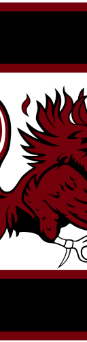 South Carolina Gamecocks Softball