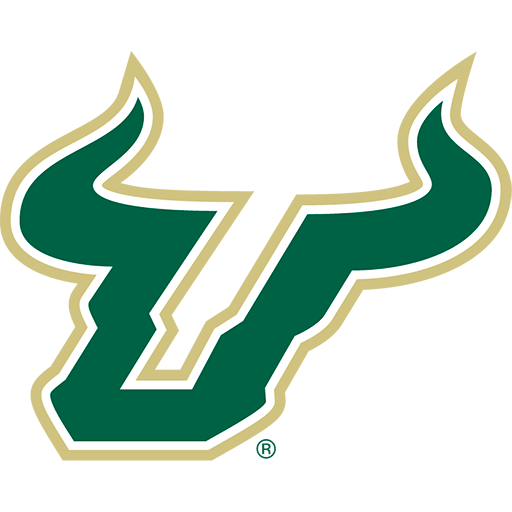 Kent State Golden Flashes at South Florida Bulls Football at Raymond James Stadium on Oct 17, 2026