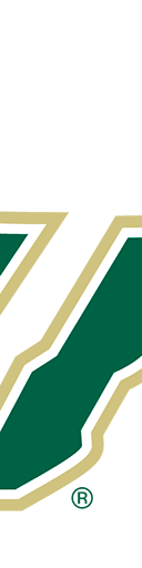 South Florida Bulls Football