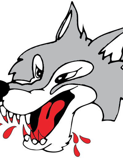 Sudbury Wolves at Rouyn Noranda Huskies