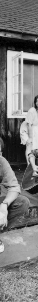 Susan Cowsill
