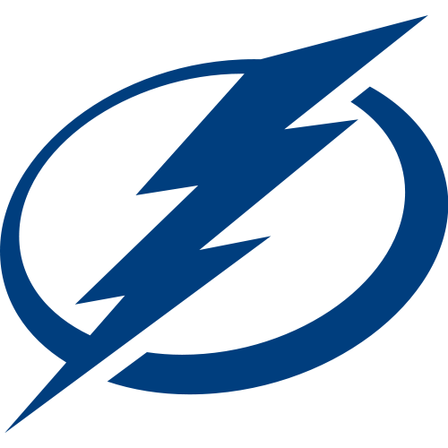 Tampa Bay Lightning: NHL team logo
