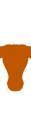 Texas Longhorns Football