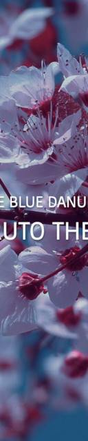 The Blue Danube