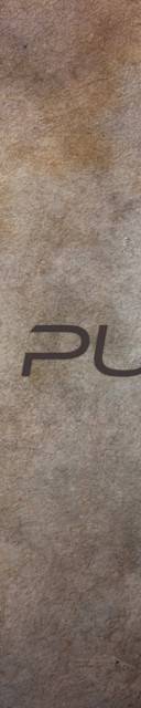 The Pulse