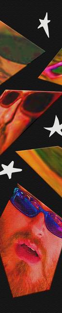 The Sponges