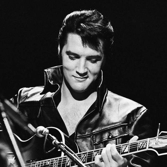 The Ultimate Elvis Tribute: Rock artist