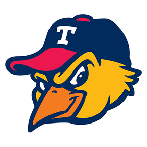Toledo Mud Hens logo