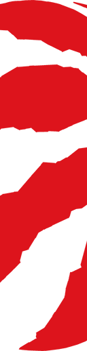 Toronto Raptors