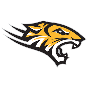Towson Tigers Football logo