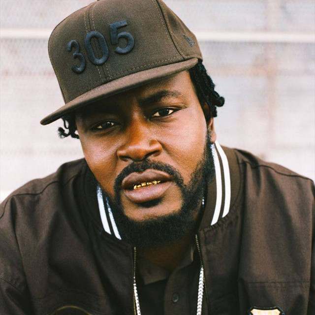 Trick Daddy: Rap/Hip Hop artist