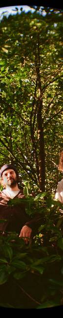 Triptides