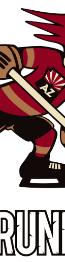 Tucson Roadrunners