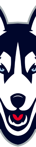 UConn Huskies Football