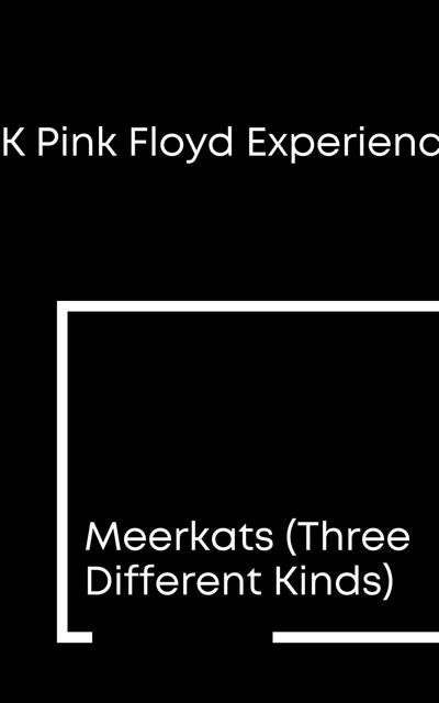 UK Pink Floyd Experience