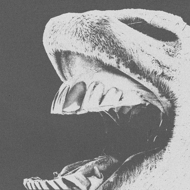 White Pony: Rock artist